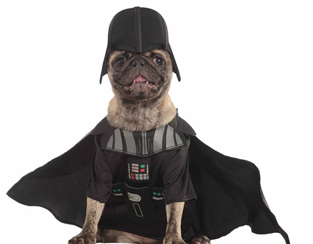 世界各地宠物靓装现身庆萌宠装扮日