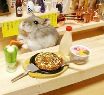 客人，你点的定食好了喔！