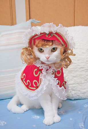 世界各地宠物靓装现身庆萌宠装扮日