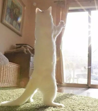 这姿势也是没sei了