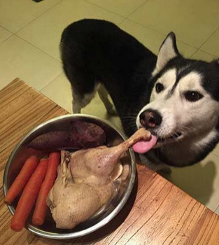 我就舔舔我不吃