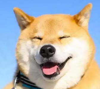 看这头像，脸大，耐揉！