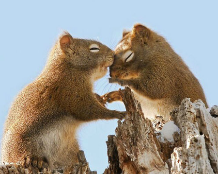 凝望着彼此的眼神