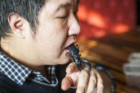 长春男子酷爱“毒宠” 被咬上百次险丧命