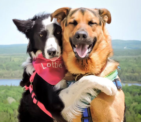 真的是要虐死单身狗了