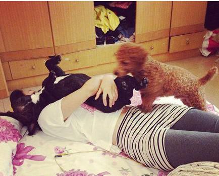 喵星人你就从了本汪吧，跨界爱笑死了！