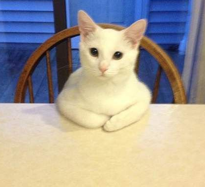 你有什么心事可以向朕倾诉