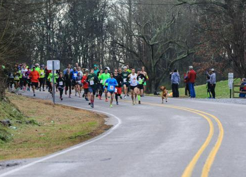 美国一只猎犬偷偷的参加了马拉松比赛并获得了名次