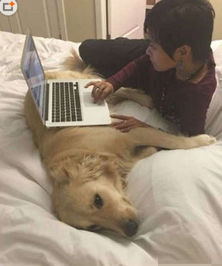 二汪的眼神说明已生无可恋....