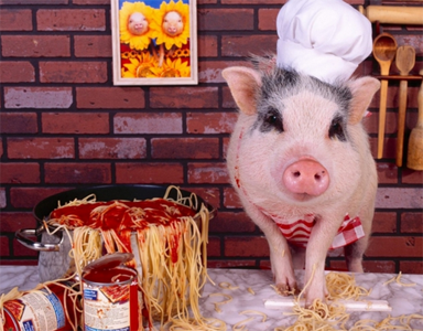 猪小厨