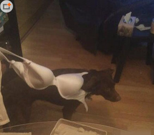 妈蛋，大白天就和我耍流氓