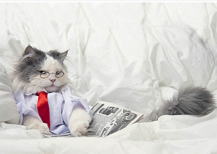 闲得没事读一下报纸