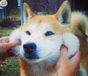 脸太瘦了不好看，我来帮帮你