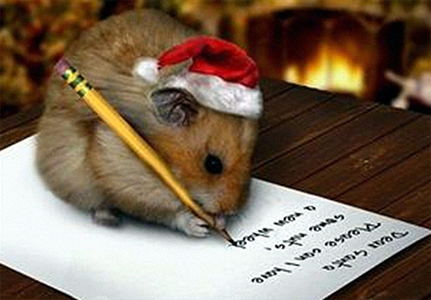 给亲爱的写封信