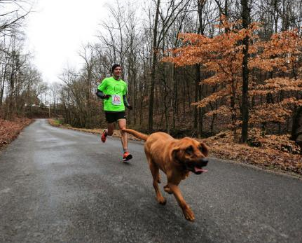 美国一只猎犬偷偷的参加了马拉松比赛并获得了名次