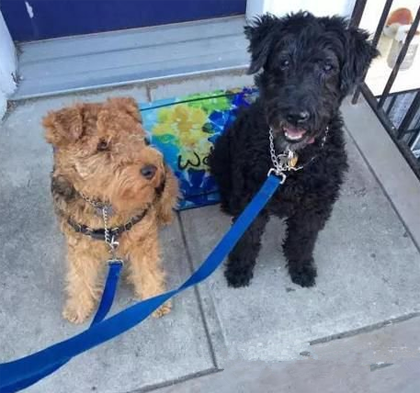 我们就不能直接去散步吗?一定要拍照?