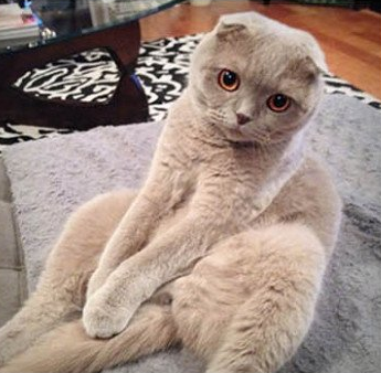 就不能好好坐着吗