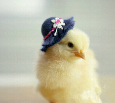 这顶帽子只有我能hold得住