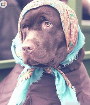 麻麻能不能不给我弄的这么春姑