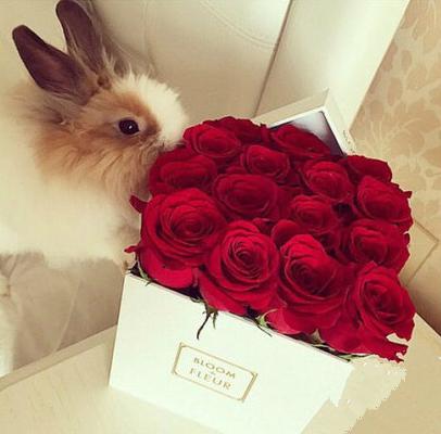 这话肯定是爱慕者送的