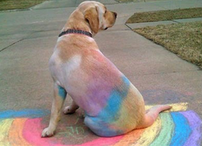 别以为我不知道你刚才有多嗨