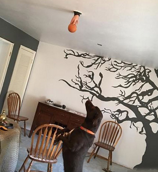 主人，你玩我呢？