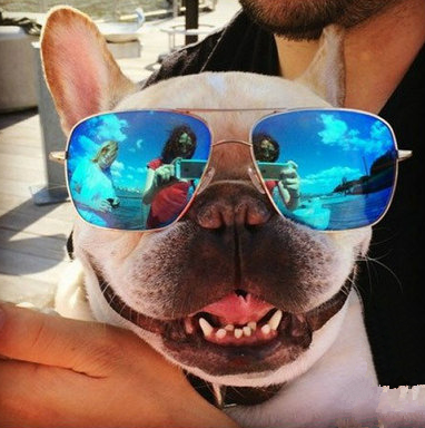 我一定是太帅了