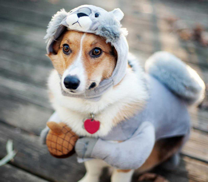 冬天要注意保暖哦