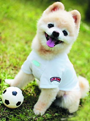 阿汪都成球星了！