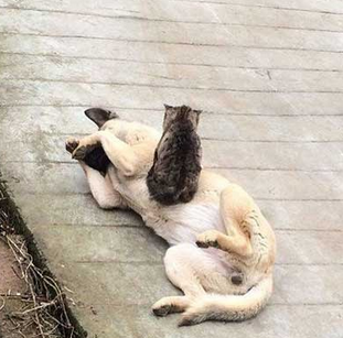 这关系处的不错啊