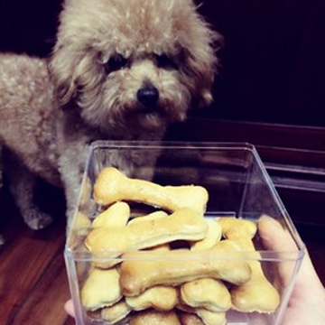 狗狗磨牙棒是什么做的 以磨牙洁齿为主