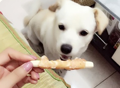 磨牙棒是什么样的 磨牙棒和洁齿棒的区别