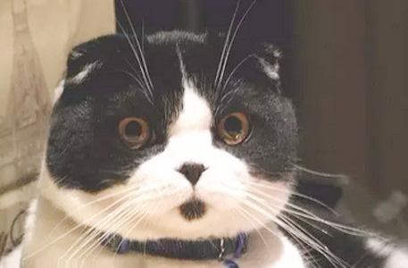 好看的中分发型