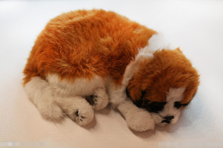 狗会传染什么疾病 狗狗的7类疾病易传染