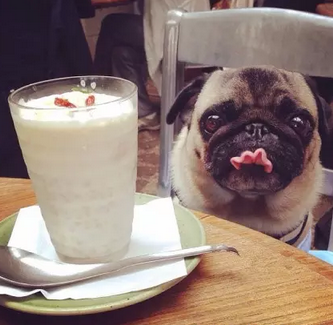 你的眼神已经出卖你了