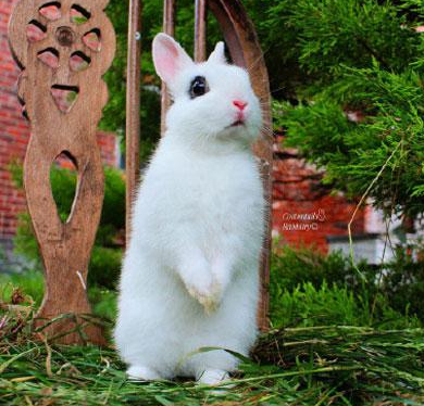 就喜欢这么站着