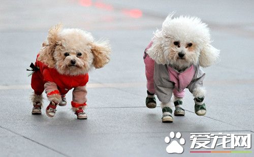 什么是黑热病 晚期则常出现皮肤损害