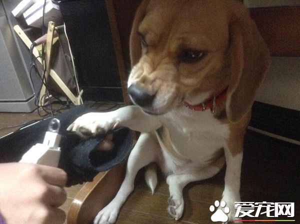 指甲给我剪好看点，不然我就让你好看