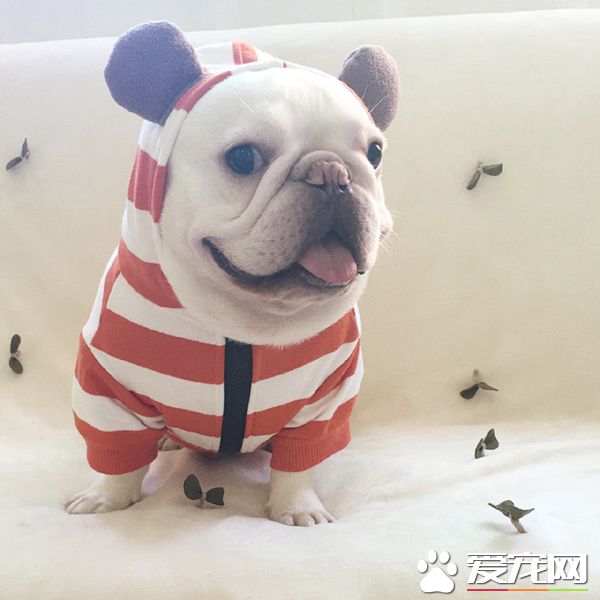 老夫穿的新衣服好看吧，嘿嘿