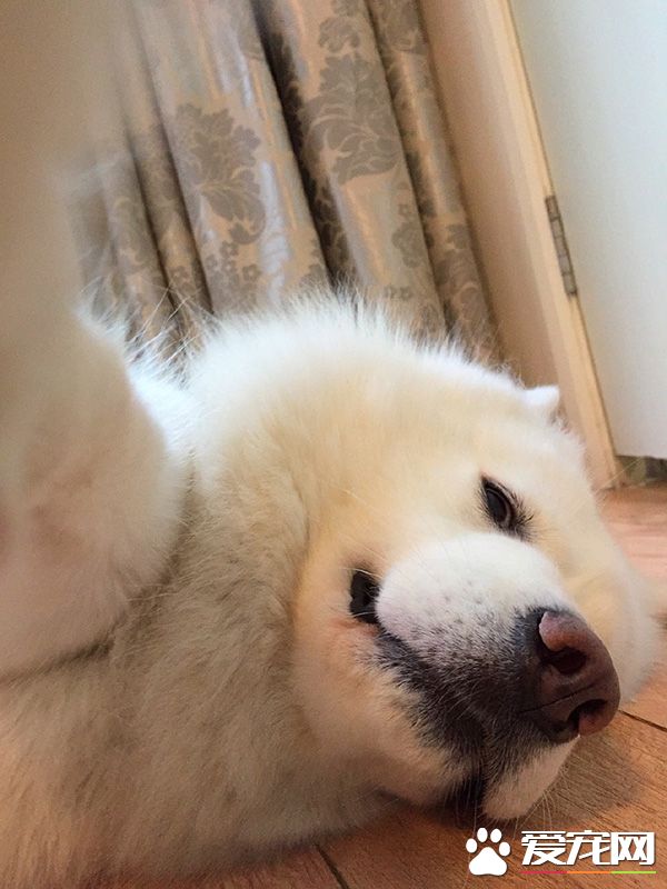 睡前来张美美的自拍照吧