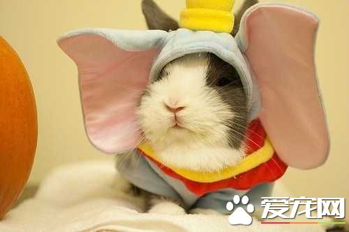 这新衣服怎么比我都大。。。