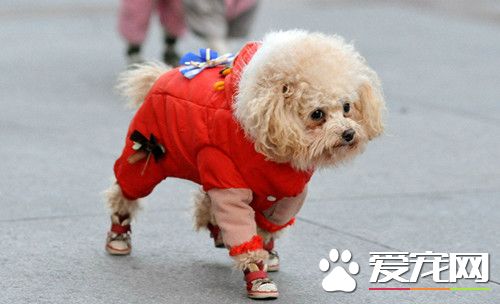 什么是咽炎 吞咽障碍和流涎是本病的特征