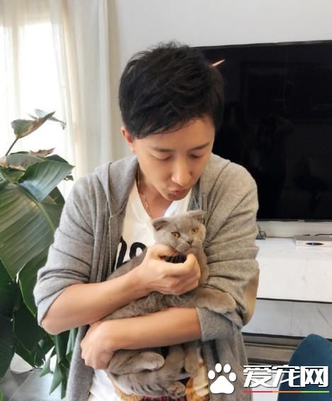 韩庚逗猫猫却一脸嫌弃 猫内心：铲屎的放开我！