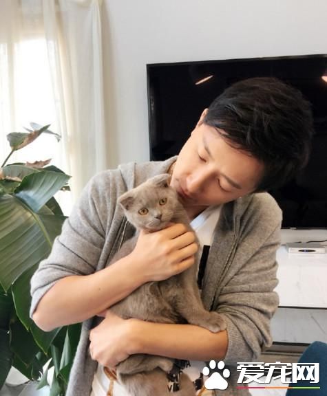 韩庚逗猫猫却一脸嫌弃 猫内心：铲屎的放开我！