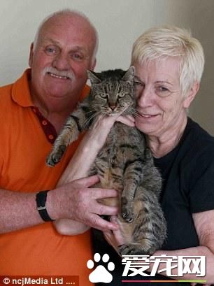 31岁的喵星人过生日 有望成为世界上最老的猫