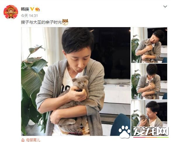 韩庚逗猫猫却一脸嫌弃 猫内心：铲屎的放开我！