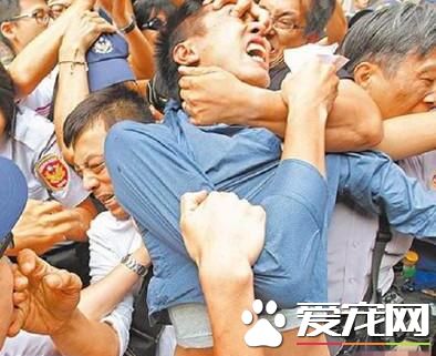 虐猫大学生引起公愤 判刑10个月并罚款60万