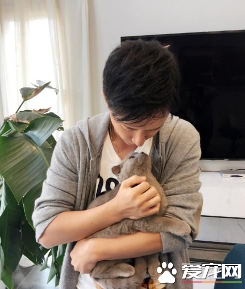 韩庚逗猫猫却一脸嫌弃 猫内心：铲屎的放开我！