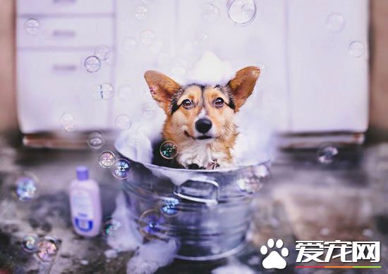 泡澡好舒服啊。