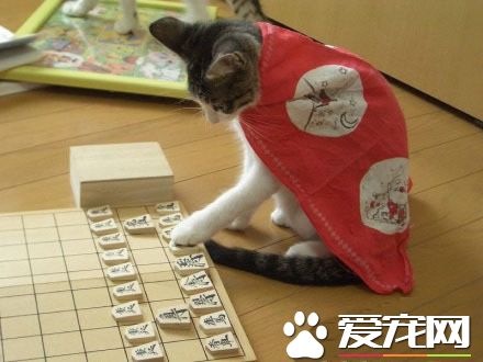 做人就应该运筹帷幄，决胜千里！